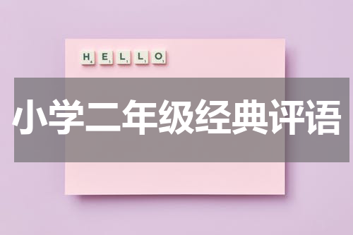 小学二年级经典评语