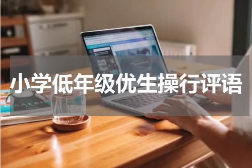 小学低年级优生操行评语