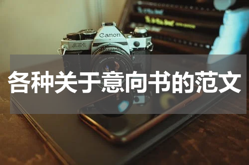 各种关于意向书的范文