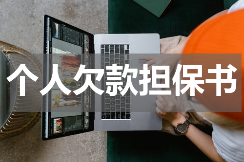 个人欠款担保书