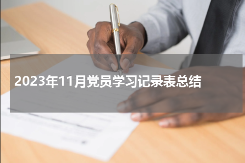 2023年11月党员学习记录表总结