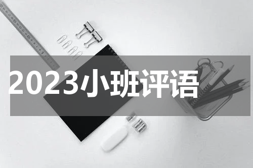 2023小班评语