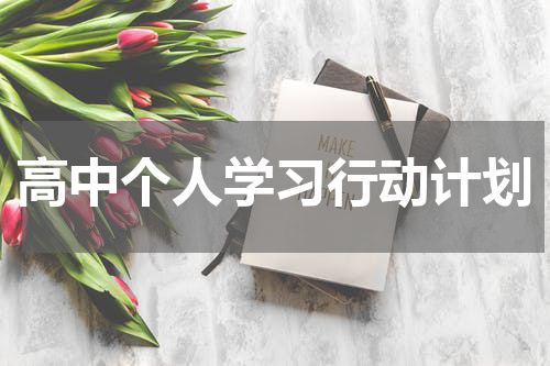 高中个人学习行动计划
