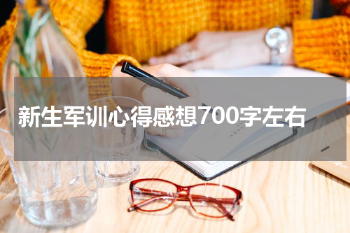 新生军训心得感想700字左右