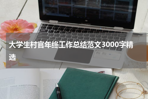 大学生村官年终工作总结范文3000字精选