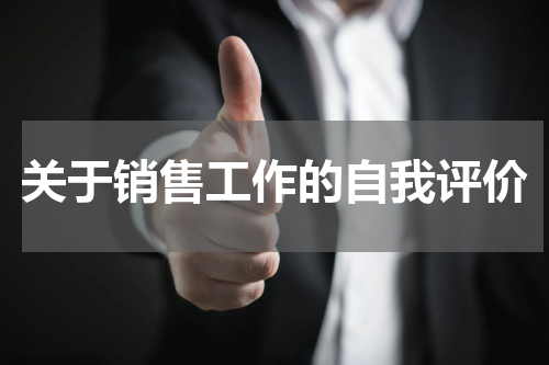 关于销售工作的自我评价