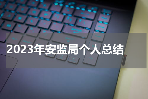 2023年安监局个人总结