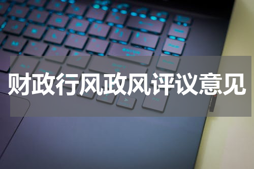 财政行风政风评议意见