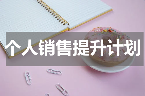 个人销售提升计划