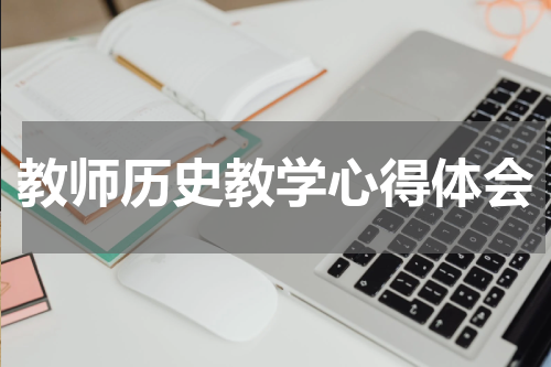 教师历史教学心得体会