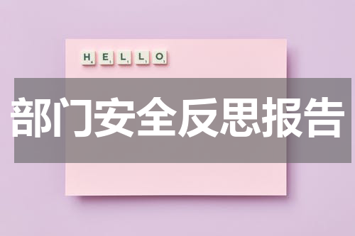 部门安全反思报告