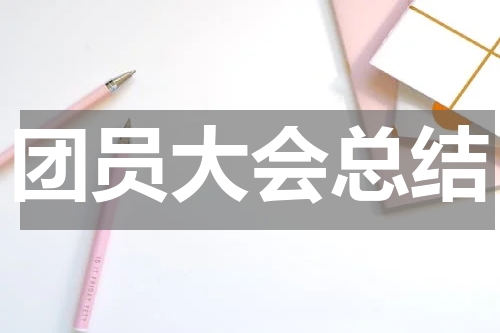 团员大会总结