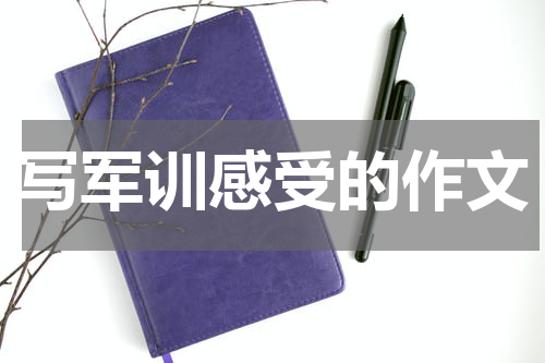 写军训感受的作文
