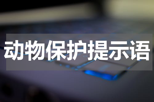 动物保护提示语