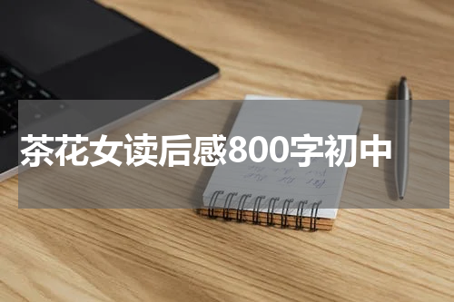 茶花女读后感800字初中