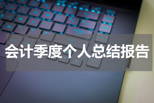 会计季度个人总结报告