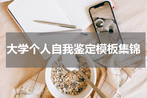 大学个人自我鉴定模板集锦