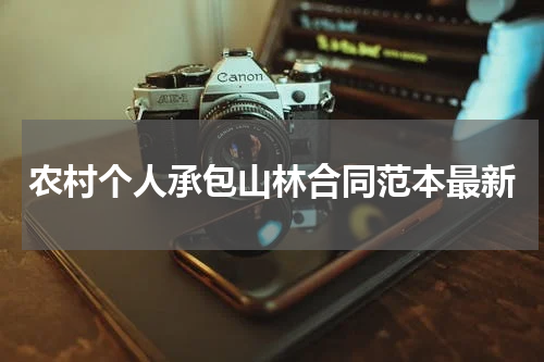 农村个人承包山林合同范本最新