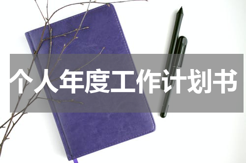 个人年度工作计划书