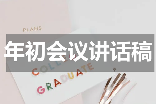 年初会议讲话稿