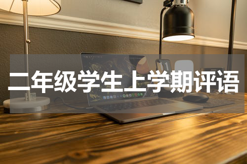 二年级学生上学期评语