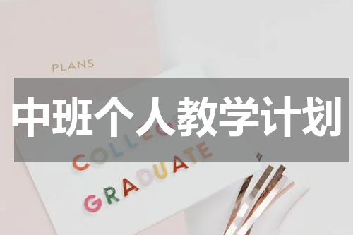 中班个人教学计划