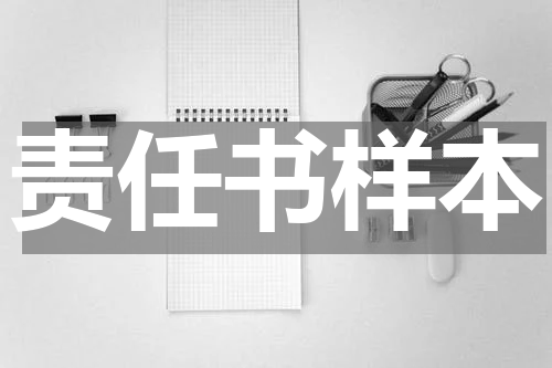 责任书样本