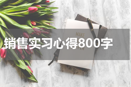 销售实习心得800字