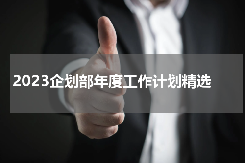 2023企划部年度工作计划精选