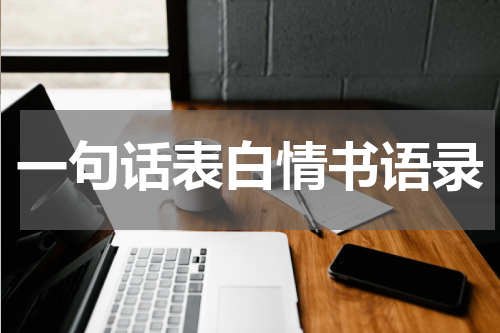一句话表白情书语录