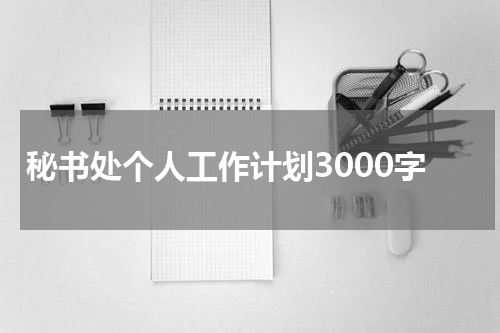 秘书处个人工作计划3000字