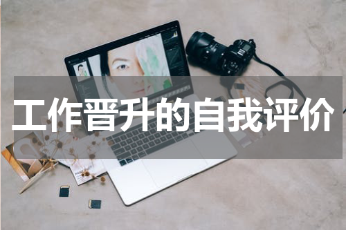 工作晋升的自我评价