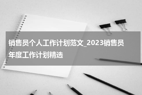 销售员个人工作计划范文_2023销售员年度工作计划精选