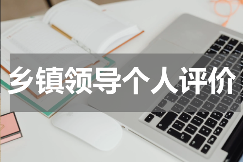 乡镇领导个人评价