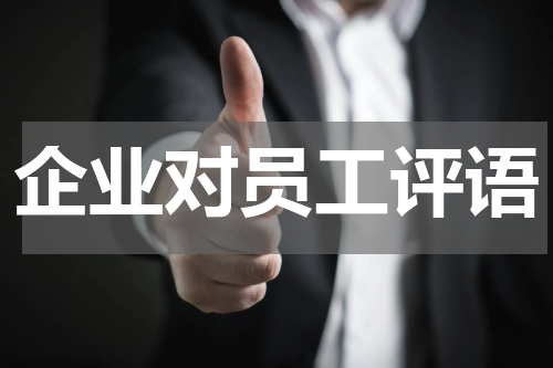 企业对员工评语