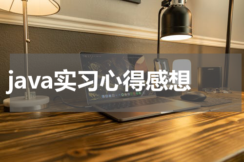 java实习心得感想