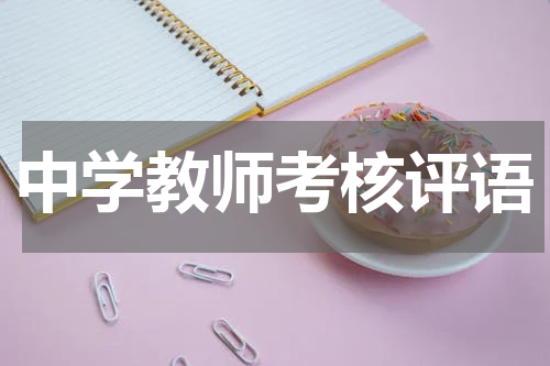 中学教师考核评语
