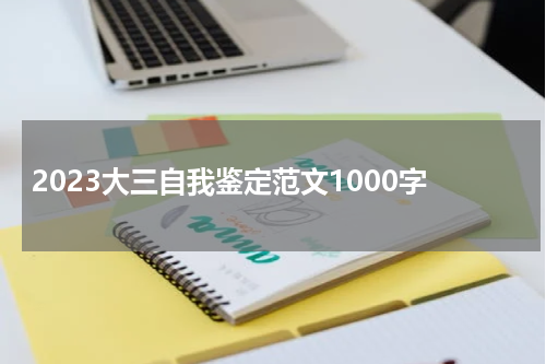 2023大三自我鉴定范文1000字