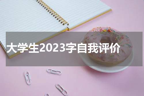 大学生2023字自我评价