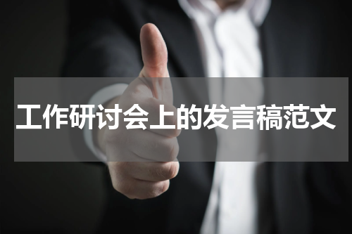 工作研讨会上的发言稿范文