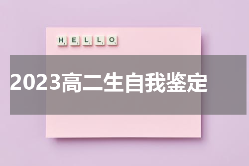 2023高二生自我鉴定