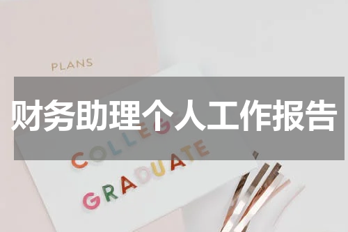 财务助理个人工作报告