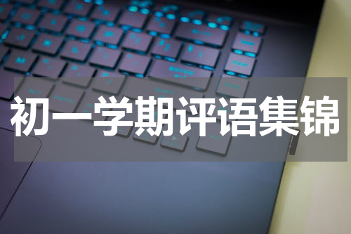 初一学期评语集锦