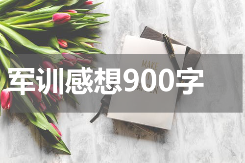 军训感想900字