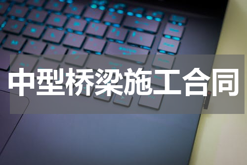 中型桥梁施工合同