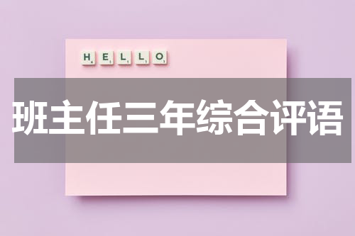 班主任三年综合评语