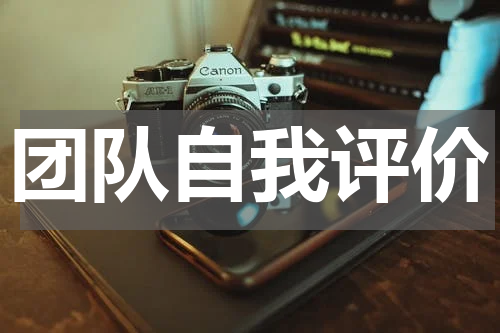 团队自我评价