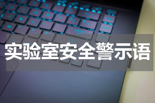 实验室安全警示语
