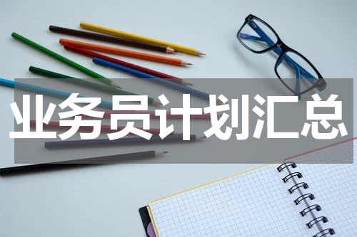 业务员计划汇总