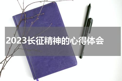 2023长征精神的心得体会